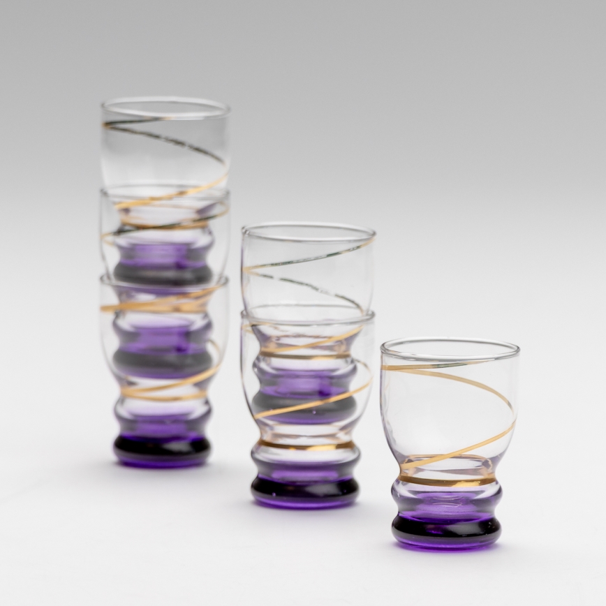 Set 6x shotglas doorzichtig paars