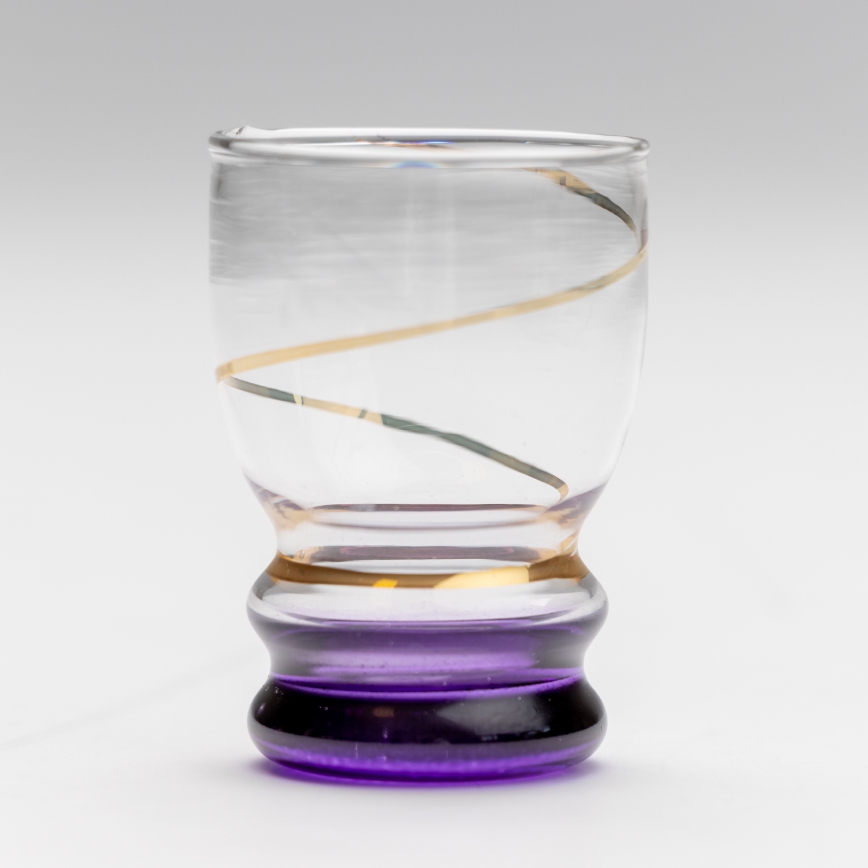 Set 6x shotglas doorzichtig paars