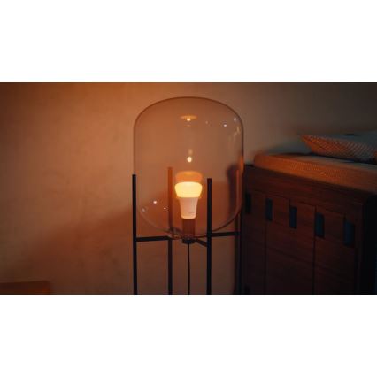 Set van 2 dimbare LED-lampen Philips Hue WHITE AND COLOR AMBIANCE E27/6W/230V 1000-20000K