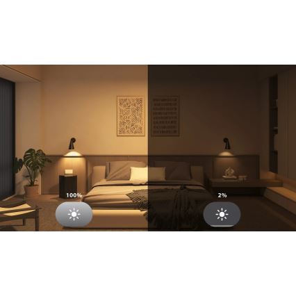 Set van 2 dimbare Philips Hue WHITE LED-lampen, E27, 7W, 230V, 2700K