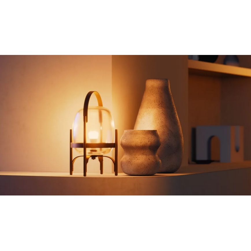 Set van 2 dimbare Philips Hue WHITE LED-lampen, E27, 7W, 230V, 2700K