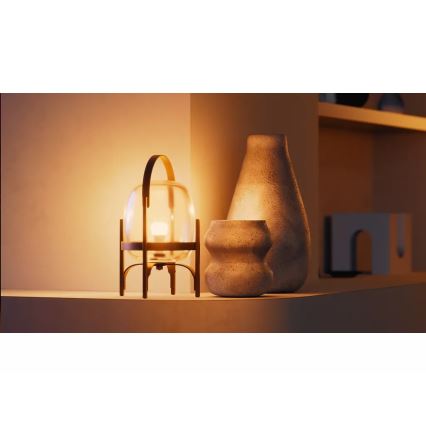 Set van 2 dimbare Philips Hue WHITE LED-lampen E27/9,5W/230V 2700K