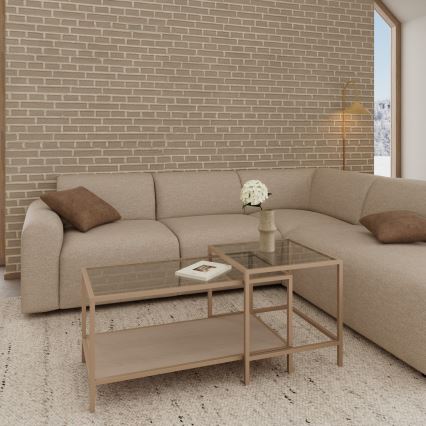 Set van 2 salontafels SARON 90x50 cm grijs/helder