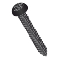 Set van 50 Torx T25-schroeven, 12 mm, zwart gelakt
