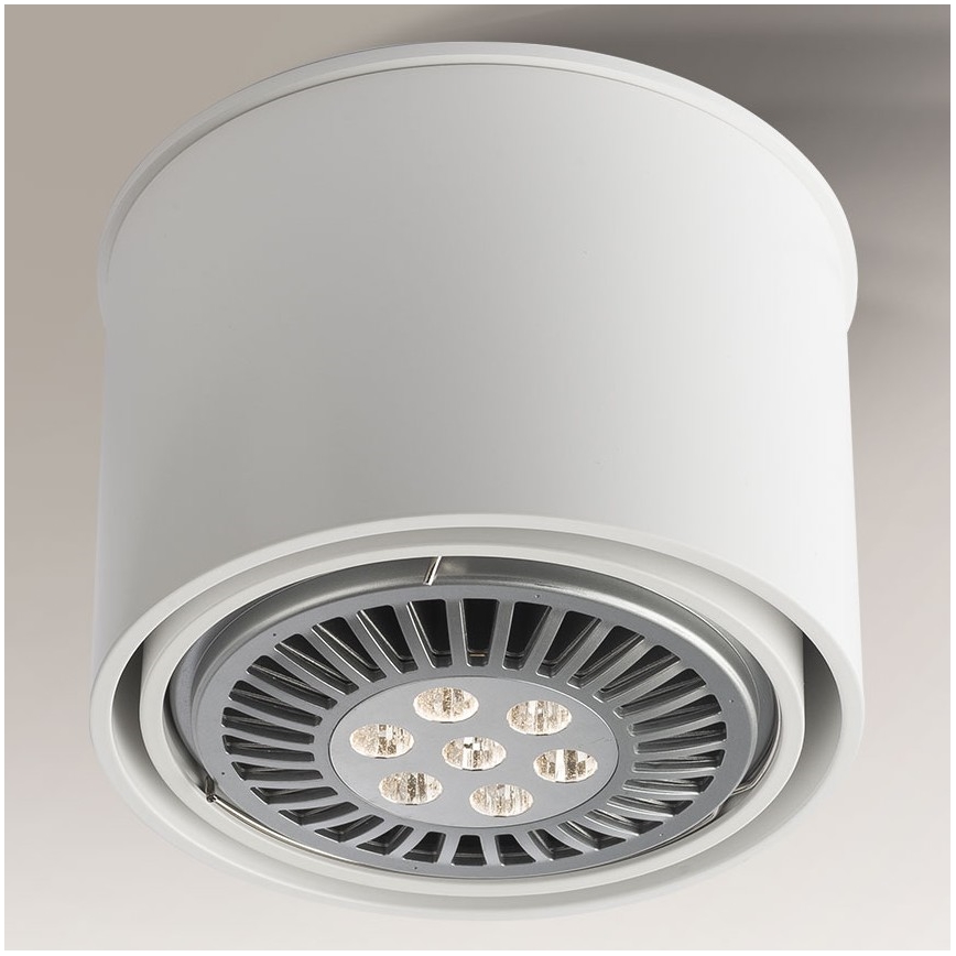 Shilo - Spot 1xGU10/15W/230V wit