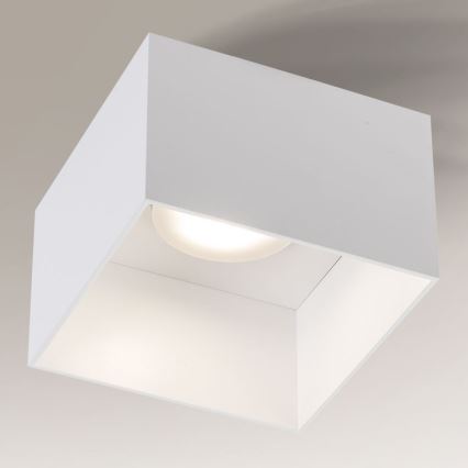 Shilo - Plafond Lamp 1xGX53/15W/230V wit