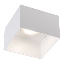 Shilo - Plafond Lamp 1xGX53/15W/230V wit