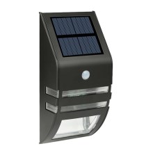 Solar LED Wand Lamp met Sensor LED/3,7V IP44 zwart