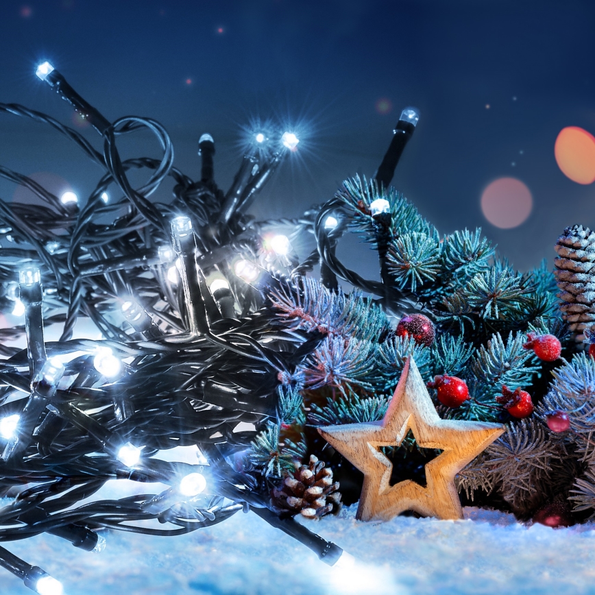 LED-lichtsnoer voor buiten, 200×LED, 8 functies, 15 m, IP44, koud wit