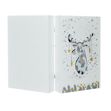 LED adventskalender LED/2xAAA