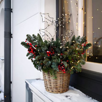 LED buiten kerstdecoratie 100x LED / 3xAA, IP44, warm wit, belletjes