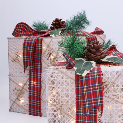 SET 3x LED kerstcadeau 48xLED/3,6W/230V IP44 warm wit