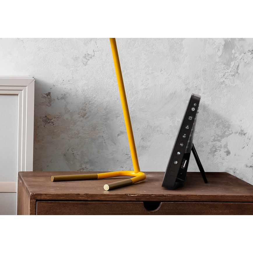 Professioneel weerstation met kleurenscherm LCD 5V/2xAA + 3xAA + 2xAA Wi-Fi Tuya