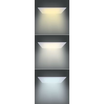 LED Paneel LED/12W/230V 3000/4000/6000K 17x17 cm wit