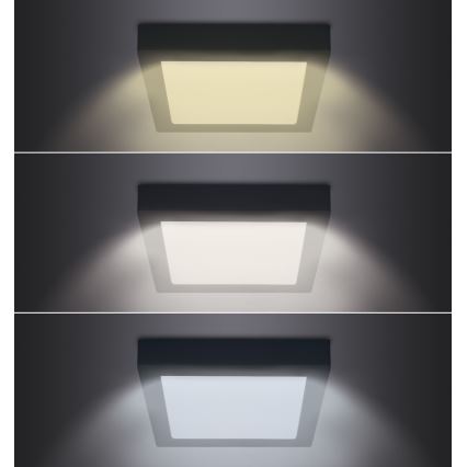 LED Plafondlamp LED/12W/230V 3000/4000/6000K zwart hoekig