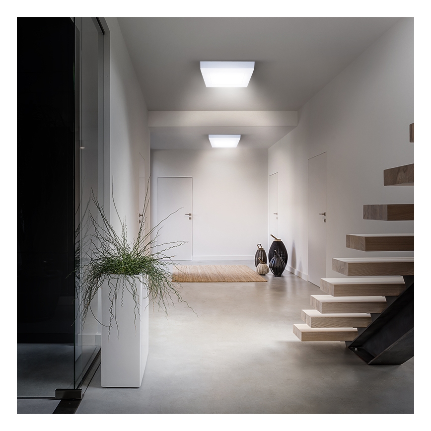 LED plafondlamp LED/18W/230V 3000/4000/6000K 22,5x22,5 cm wit