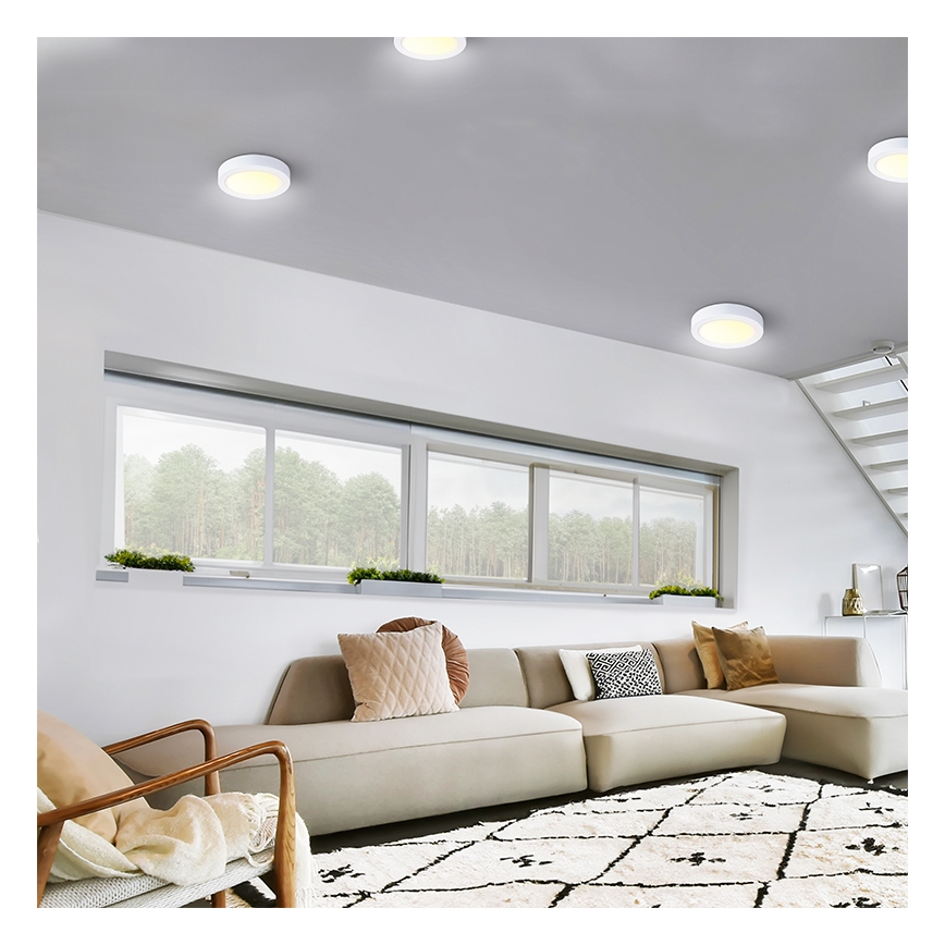 LED-plafondlamp 24W/230V 3000/4000/6000K Ø 30 cm wit