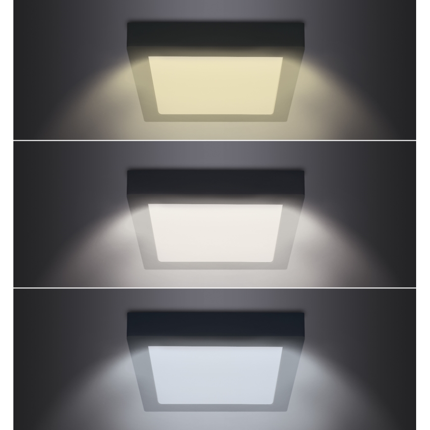 LED Plafondlamp LED/24W/230V 3000/4000/6000K zwart hoekig