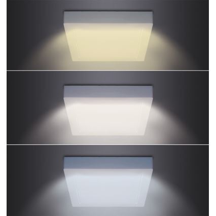 LED plafondlamp LED/24W/230V 3000/4000/6000K 30x30 cm wit