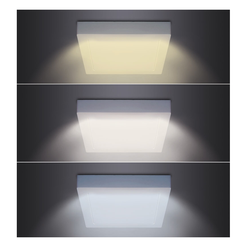 LED plafondlamp LED/24W/230V 3000/4000/6000K 30x30 cm wit