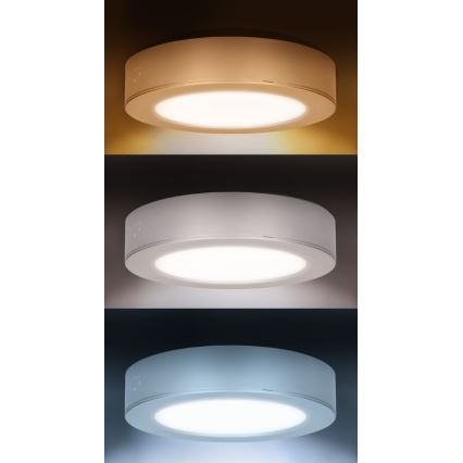 LED opbouw-/inbouwpaneel 2-in-1 LED/12W/230V 3000/4000/6000K Ø17cm IP54 zilver