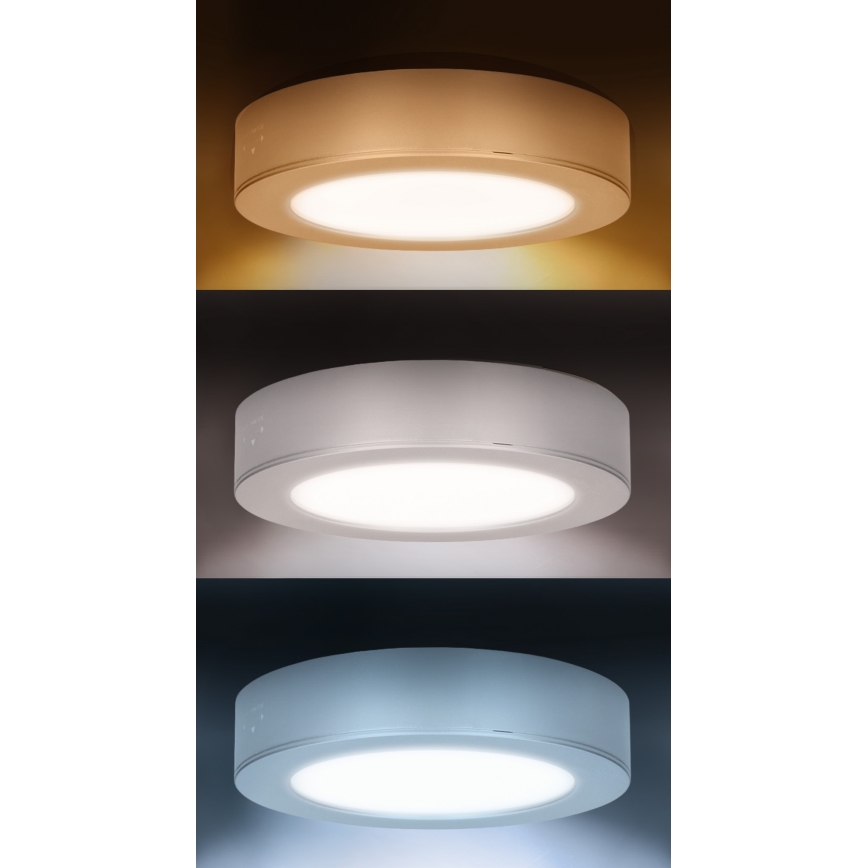 LED opbouw-/inbouwpaneel 2-in-1 LED/12W/230V 3000/4000/6000K Ø17 cm IP54 wit