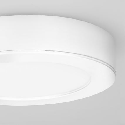 LED opbouw-/inbouwpaneel 2-in-1 LED/12W/230V 3000/4000/6000K Ø17 cm IP54 wit