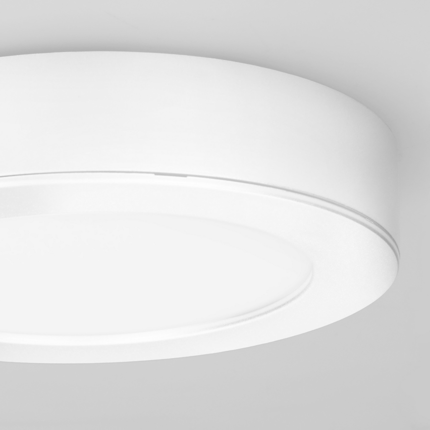 LED opbouw-/inbouwpaneel 2-in-1 LED/12W/230V 3000/4000/6000K Ø17 cm IP54 wit
