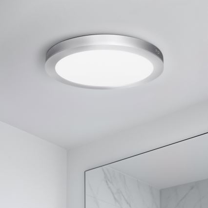 LED Opbouw-/inbouwpaneel 2-in-1 18W/230V 3000/4000/6000K Ø 22,5 cm IP54 zilver