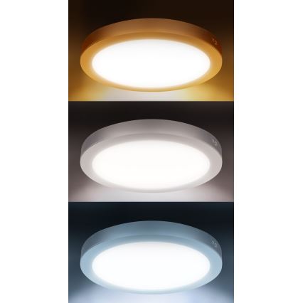 LED opbouw-/inbouwpaneel 2-in-1 18W/230V 3000/4000/6000K Ø22,5 cm IP54 wit