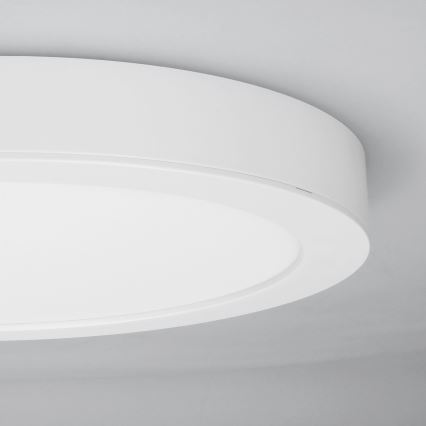 LED opbouw-/inbouwpaneel 2-in-1 18W/230V 3000/4000/6000K Ø22,5 cm IP54 wit