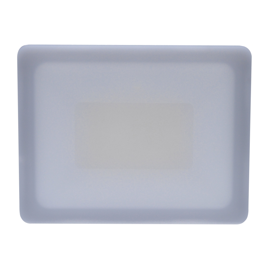 LED Schijnwerper voor buiten LED/30W/230V 4000K IP65