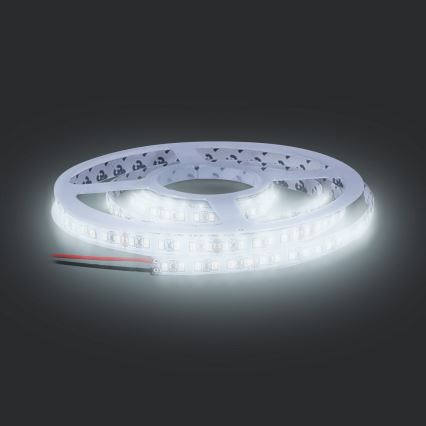 LED Strip LED/50W/12V 5m koud wit