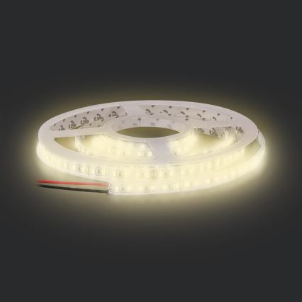 LED Strip LED/50W/12V 5m warm wit