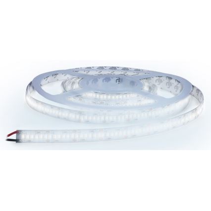 LED Strip LED/80W/12V 5m koud wit