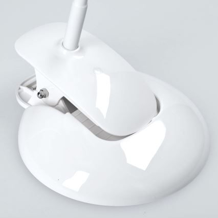 LED Tafellamp dimbaar voet en klem LED/5W/230V