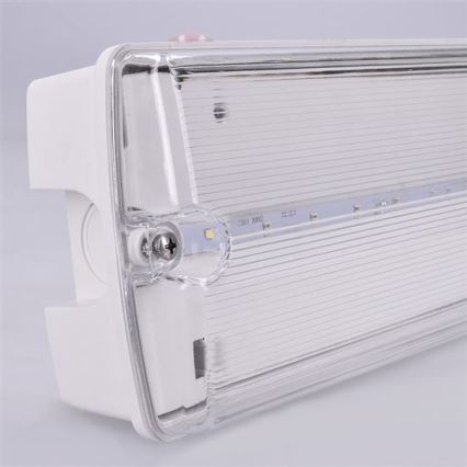 LED Noodverlichting LED/3,2W/230V IP65 6500K