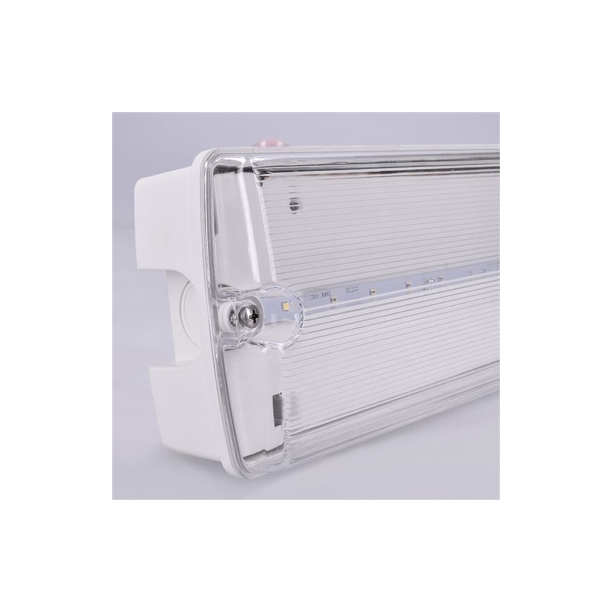 LED Noodverlichting LED/6W/230V IP65 6500K