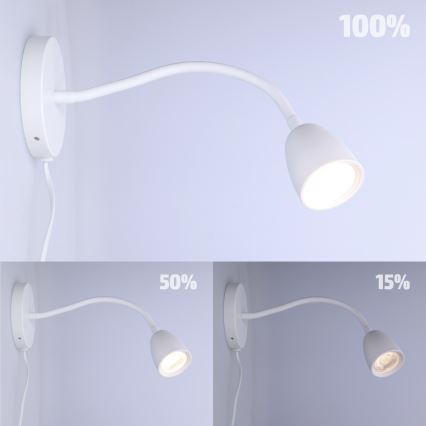 LED Dimbare Wandlamp LED/4W/230V