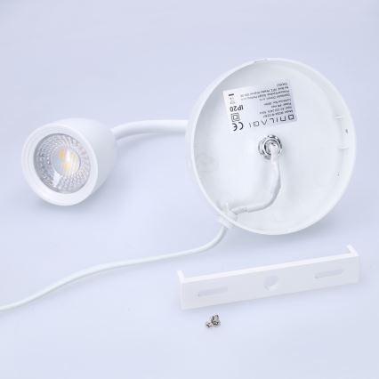LED Dimbare Wandlamp LED/4W/230V
