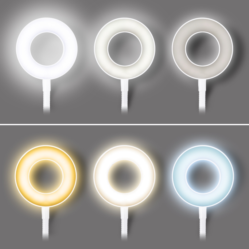 Dimbare LED-bureaulamp met klem LED/8W/230V 3000/4000/5000K wit