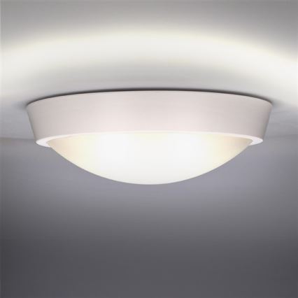 LED Buiten plafondlamp 1xLED/18W/230V  IP65