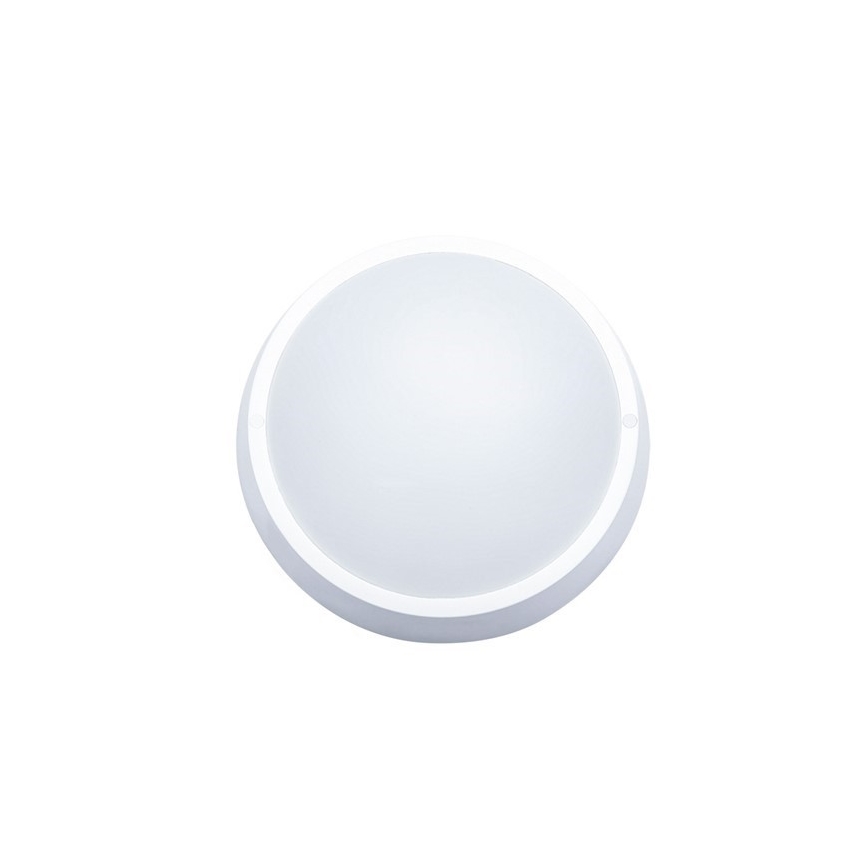 LED buitenplafondlamp 18W/230V IP65