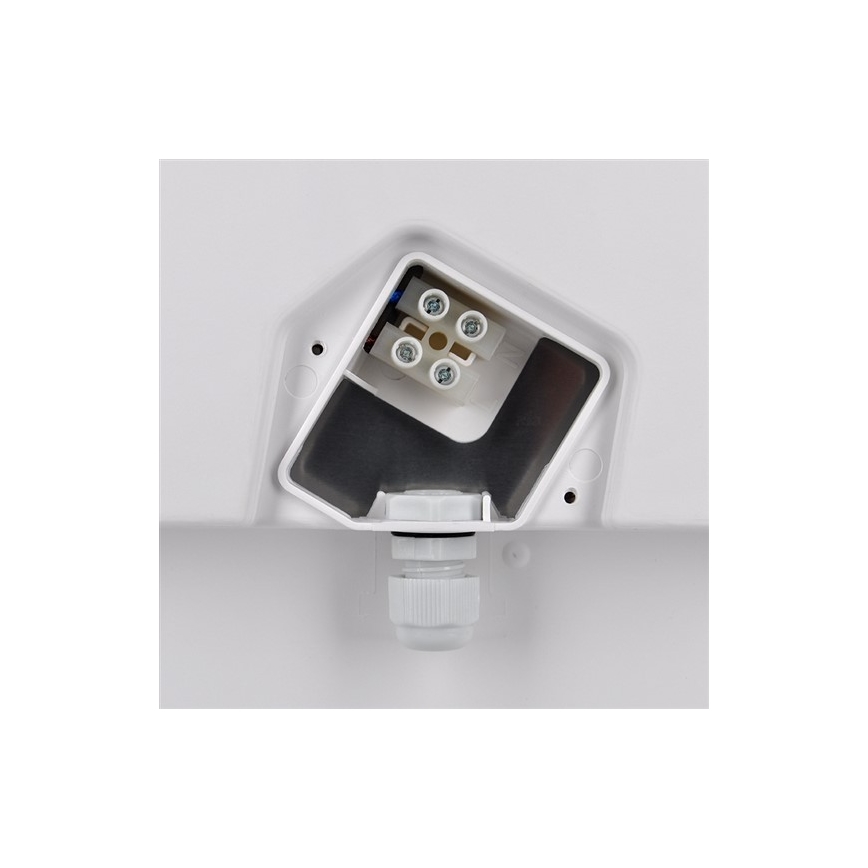 LED buitenplafondlamp 18W/230V IP65