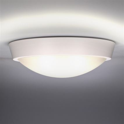 LED Buiten plafondlamp 1xLED/30W/230V  IP65