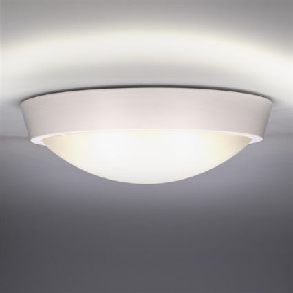 LED-buitenplafondlamp, 30W, 230V, IP65
