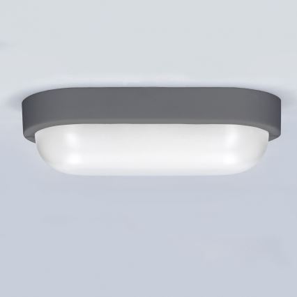 LED Wandlamp voor buiten LED/13W/230V 4000K IP54 grijs ovaal
