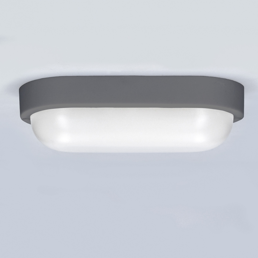 LED Wandlamp voor buiten LED/13W/230V 4000K IP54 grijs ovaal