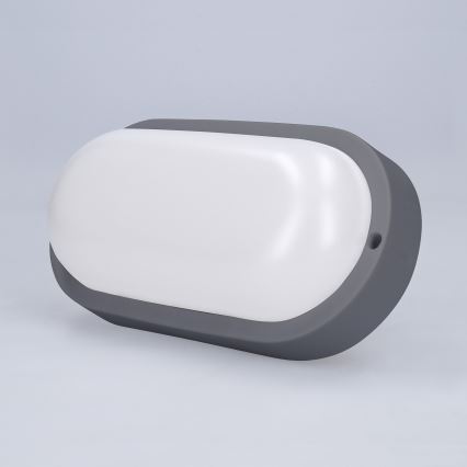LED Wandlamp voor buiten LED/13W/230V 4000K IP54 grijs ovaal