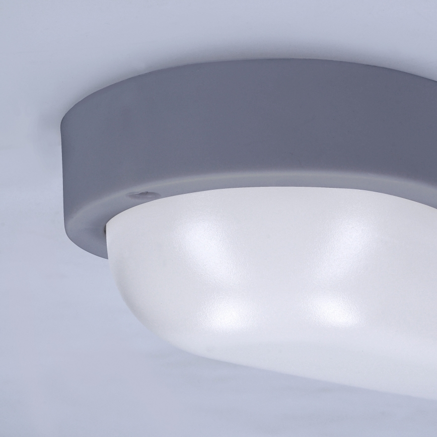 LED Wandlamp voor buiten LED/13W/230V 4000K IP54 grijs ovaal